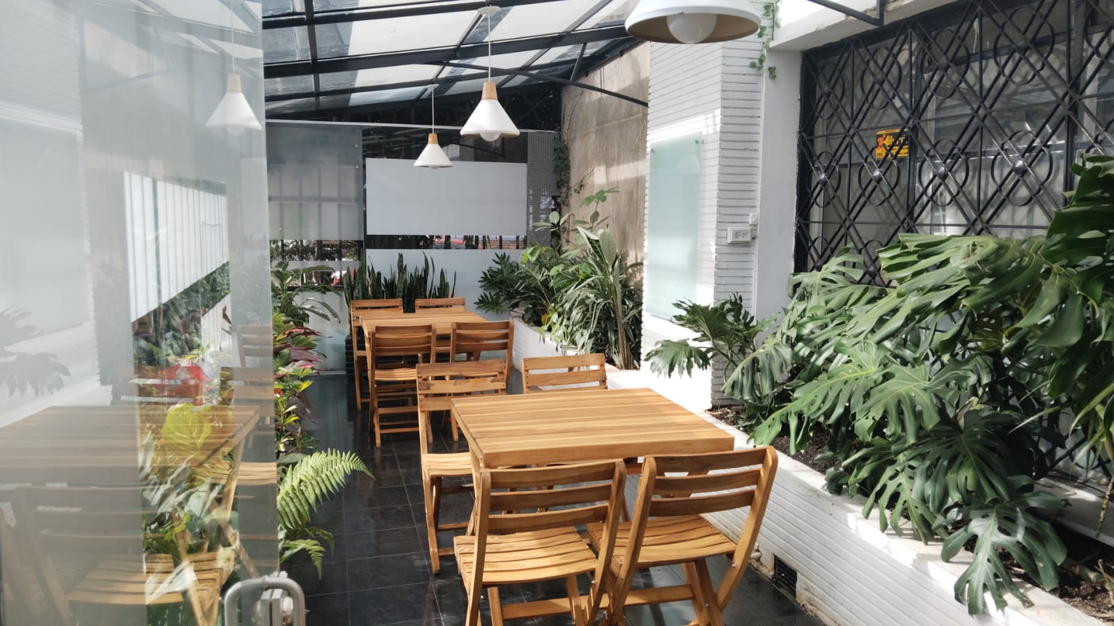 Coworking con plantas y vidrio